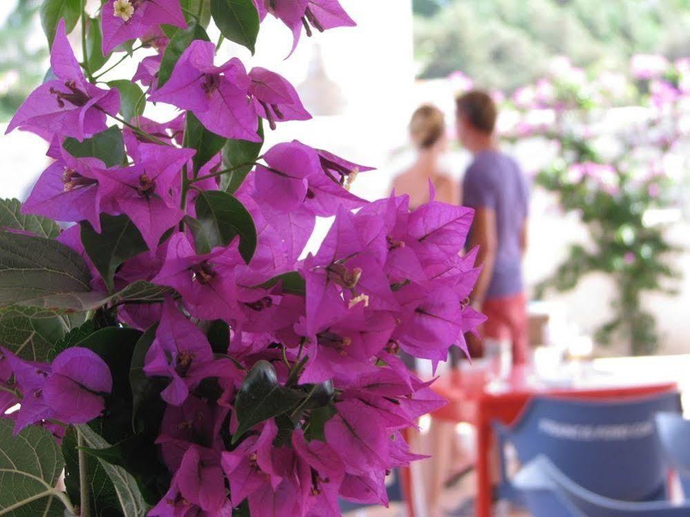 Cosmos Grand Hostal Sant Francesc de s'Estany Exterior photo